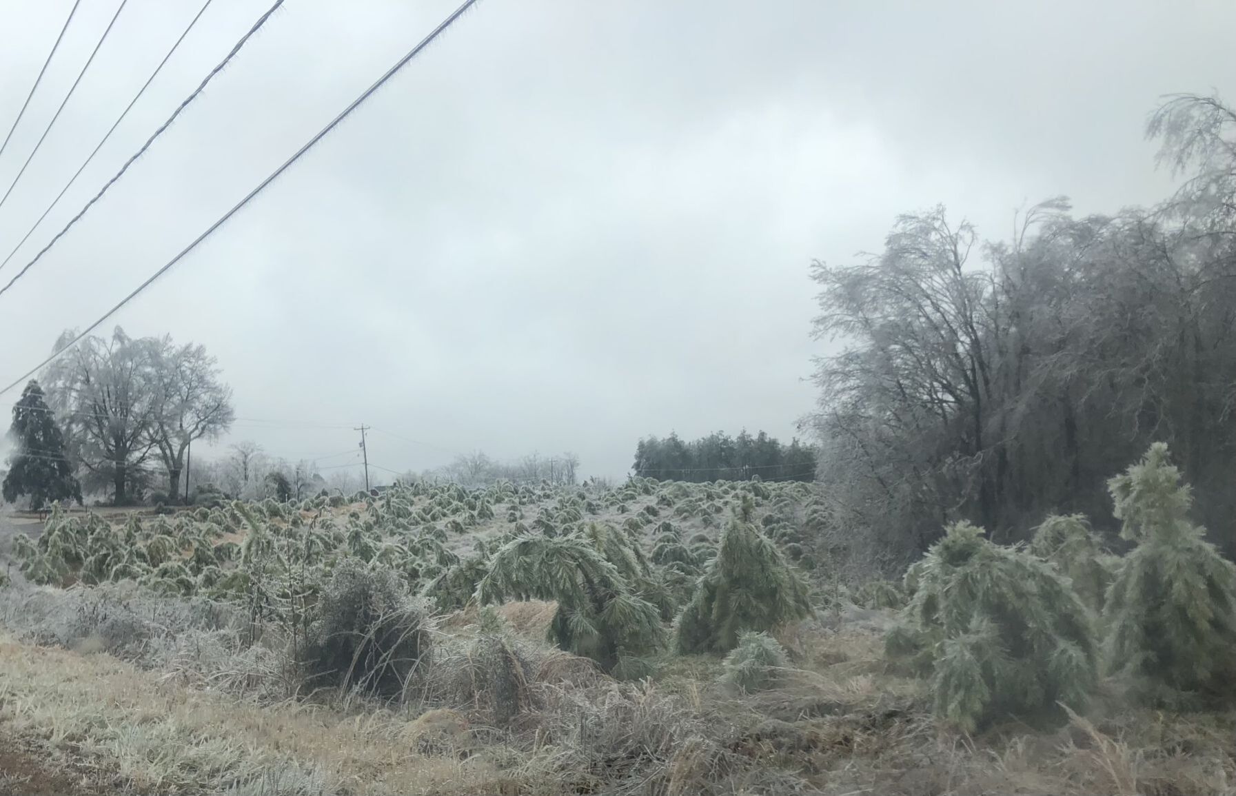 Ice
